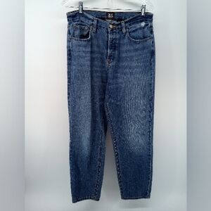 BDG Urban Outfitters Slim Straight Hidden Button Fly Blue Jeans 29 100% Cotton